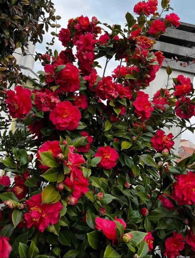Giresio 41 - Your Penthouse With Rooftop Garden In Milano Navigli - Wifi 外观 照片